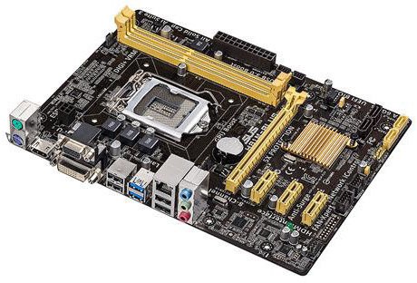 placas bases asus placas bases asus