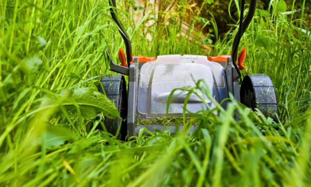 cortadoras de césped baratas cortadoras de césped baratas