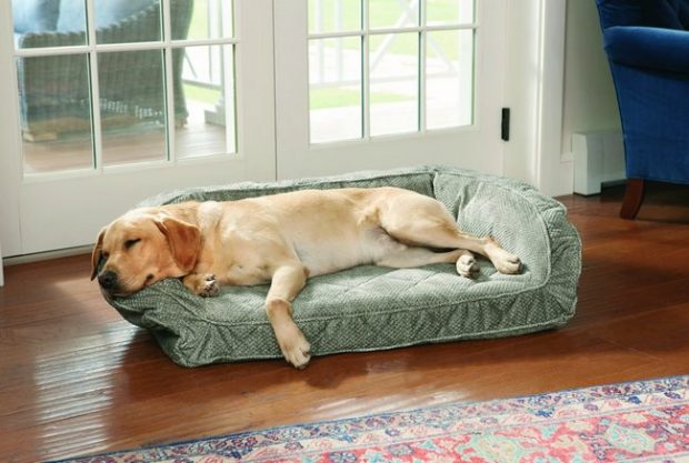 camas baratas para perros grandes