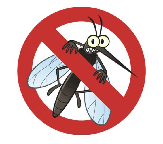 como eliminar los mosquitos con exito como eliminar los mosquitos con exito