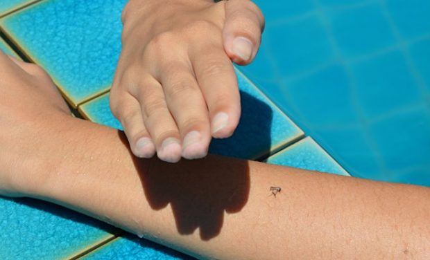 mejor repelente mosquitos mejor repelente mosquitos