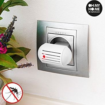 que hacer cuando hay mosquitos que hacer cuando hay mosquitos