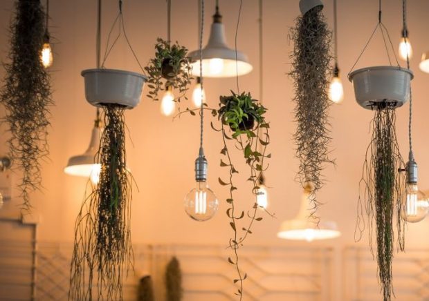 mejores bombillas para el hogar mejores bombillas para el hogar