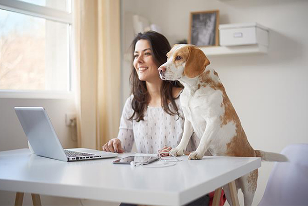 aplicaciones informáticas para teletrabajar aplicaciones informáticas para teletrabajar