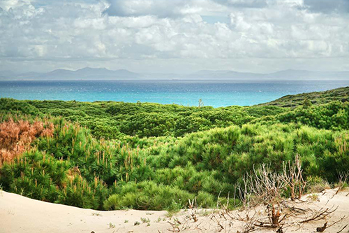 playa de cadiz ciudad playa de cadiz ciudad