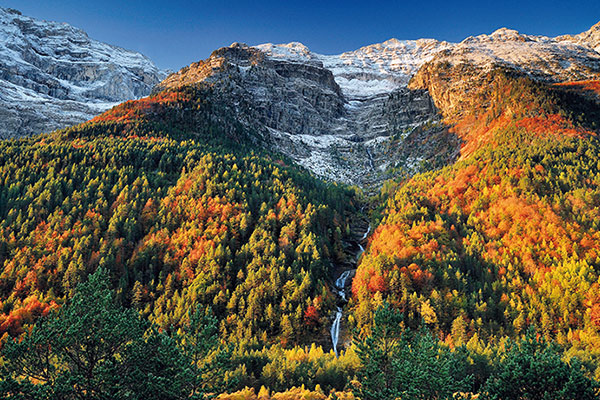 Los 4 Mejores Bosques de España en Otoño ️ Guía ️