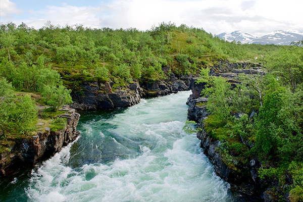 donde se ve la aurora boreal en estados unidos donde se ve la aurora boreal en estados unidos